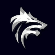 WolfyStreetBets