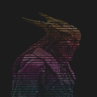 xylazsol