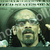 Snoop Dollar