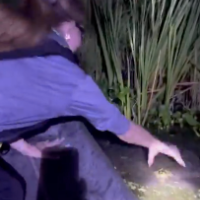 ALLIGATORHUNTER