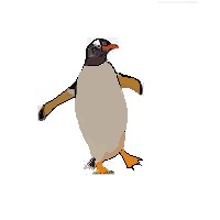 Pinguim