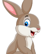 Cute Baby Rabbit