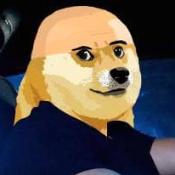 Doge Toretto