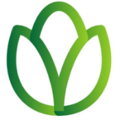 Seed Token