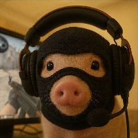 PigWifMask Community CTO