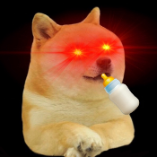 Baby EverDoge