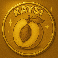 Kaysi Coin