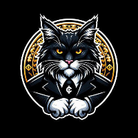 Maine COON cat GLOBAL