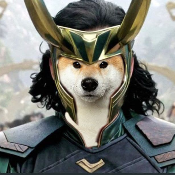 BabyFlokiDoge