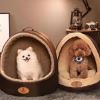 Dog House