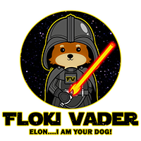 FLOKI VADER