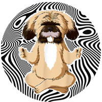 BullShihTzu Inu
