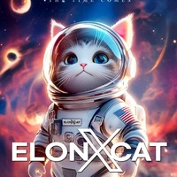 ELONXCAT meme