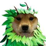 Dog Ina Bush