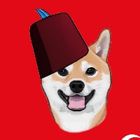 TURK SHIBA