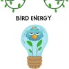 Bird Energy