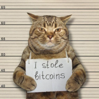 Tabby the Cat