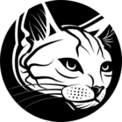 Catty Coin