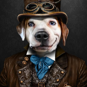 RoboDoge Coin