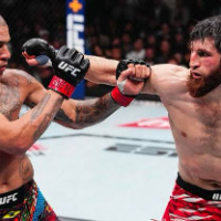 UFC 313