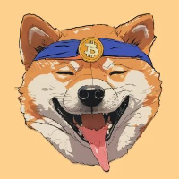 Bit-Doge