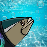 NUTA ๐ | SOL MEMECOIN