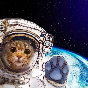 starlink