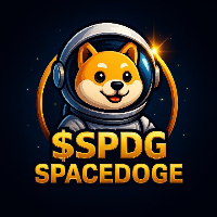 SPACEDOGE