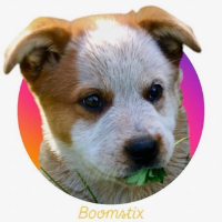boomstix