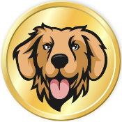 The Real Golden Inu