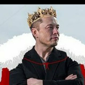 MuskRise