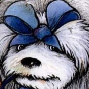 Flockipoo