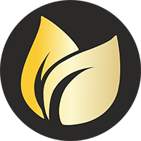 Earnfinex