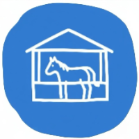 Stable Coin