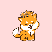 Lady Shiba