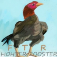 Fighter Roosters