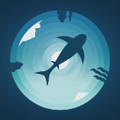 Moon Shark