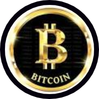 BITCOINGOLD V2023 Token