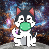 SafeHusky