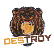 Destroy Token