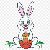 Baby Rabbit Coin
