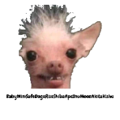 Greatest Meme