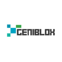 GeniBlox Meme Token