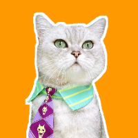 Just A Cute Chef Cat