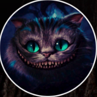ShishirCAT-SOL Mysterious CAT