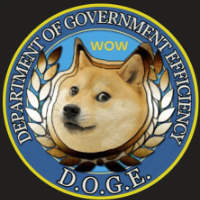 ELONDOGE COIN
