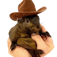 PeanuttheSquirrel