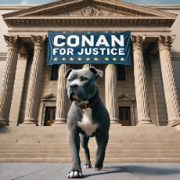Conan For Justice
