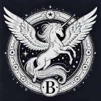 BURQ TOKEN