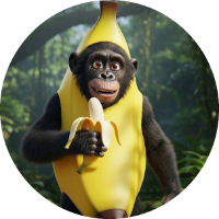 Monkana_sol